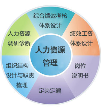 醫(yī)院人力資源管理咨詢(xún)