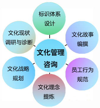 醫(yī)院文化管理咨詢(xún)
