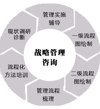 醫(yī)院戰(zhàn)略管理咨詢(xún)